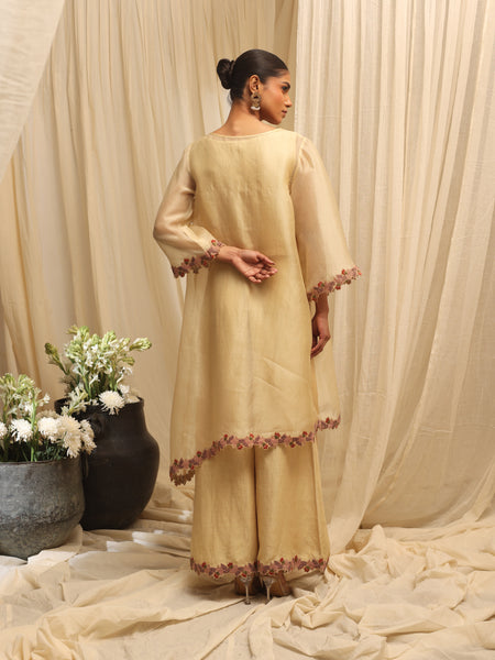 Saanjh Gulab Kurta set