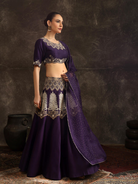 Gilded shadowleaf lehenga set
