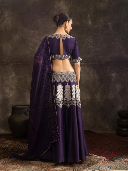 Gilded shadowleaf lehenga set