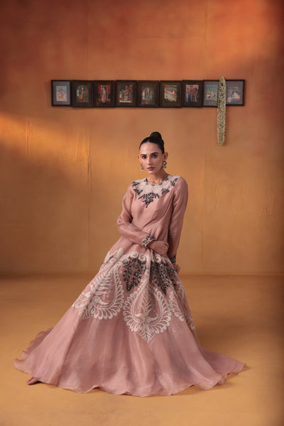 Roohani noor dress