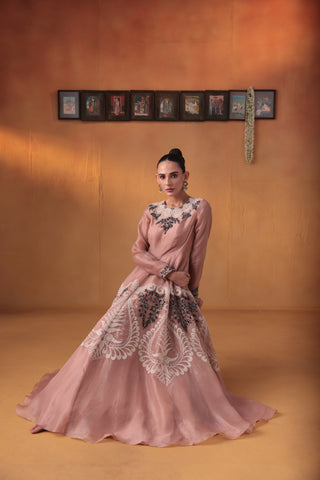 Roohani noor dress